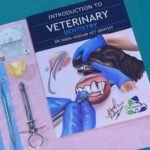 Dry dental workshop
