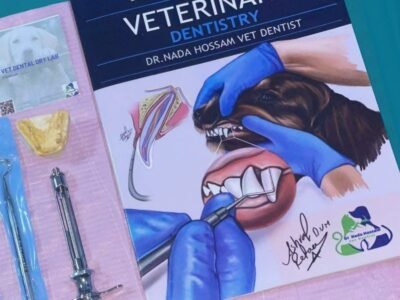 Dry dental workshop